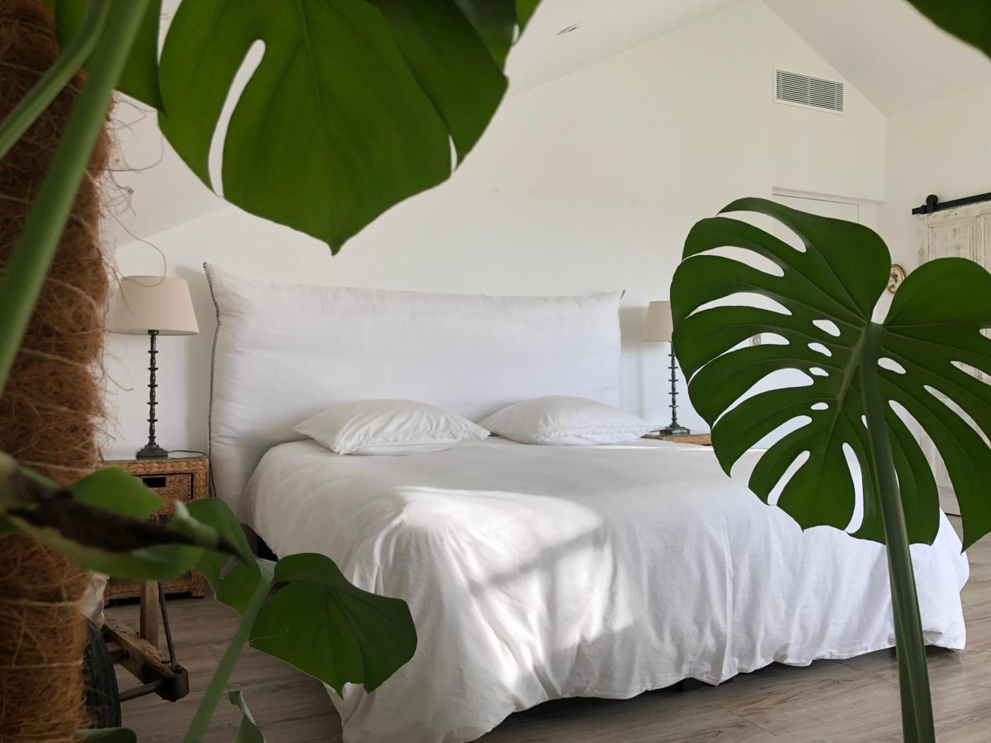 Bed and Breakfast Au Pre De Karine Cuneges Экстерьер фото